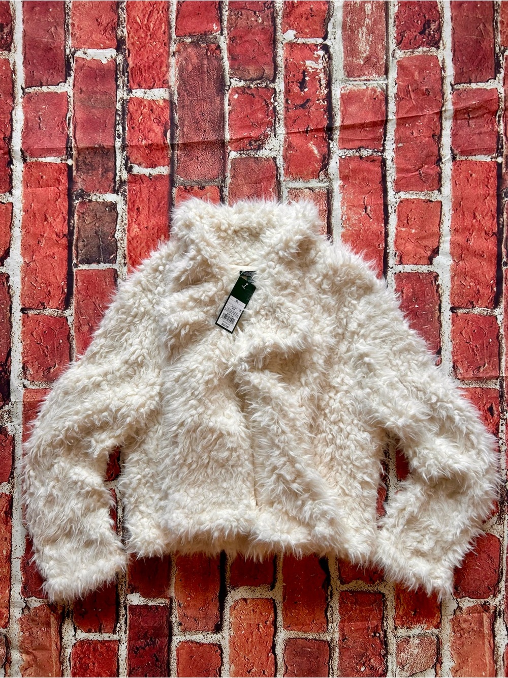 wild fable Cream Faux-Fur Teddy Jacket
